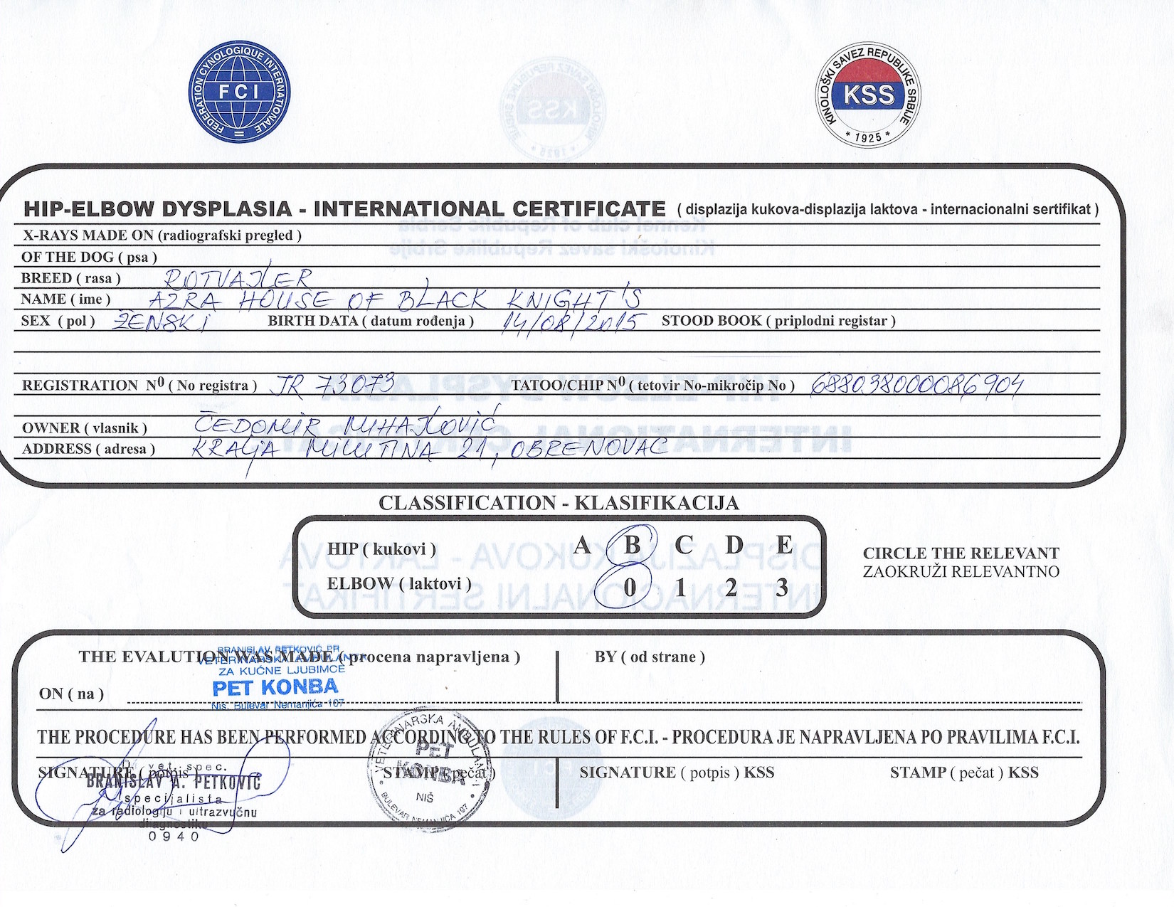 Azra, Hip-Elbow Dysplasia-International Certificate